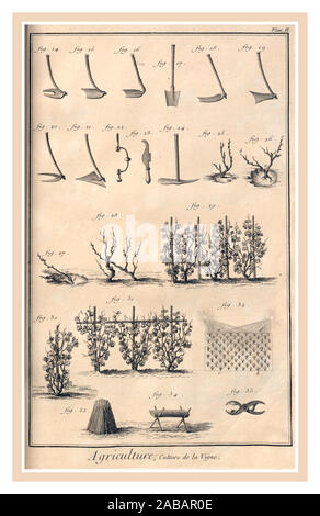 Vintage 1770's page viticulture illustration d'outils pour la culture du raisin. Denis Diderot, écrivain. Vigne vin viticulture production illustration d'instruments pour travailler pour les raisins des vignobles Denis Diderot écrivain français Banque D'Images