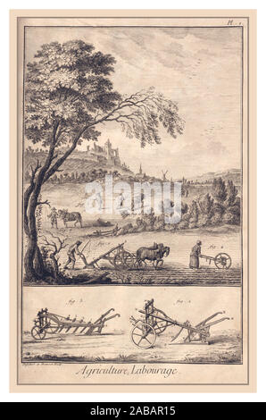 Vintage Années 1770 la production de vin de la page illustration de la viticulture met en œuvre pour labourer les champs pour les raisins Denis Diderot écrivain français Banque D'Images