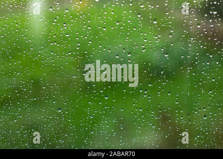 Coruna / Espagne - 5 novembre 2019 : gouttes de pluie sur une fenêtre sur fond vert Banque D'Images