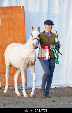 Llanelwedd, Powys, au Royaume-Uni. 26 Nov, 2019. L'événements auront lieu le deuxième jour de la Royal Welsh Winter Fair de Powys, au Royaume-Uni. Credit : Graham M. Lawrence/Alamy Live News Banque D'Images