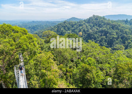 Voir d'Ulu Temburong National Park ou fathul park, dans le district de Temburong dans l'est de Brunei de Canopy Walkway Banque D'Images