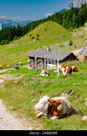 Alpes autrichiennes, à proximité et Arturhaus Bischofshofen Banque D'Images