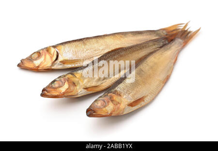 L'anchois fumé isolated on white Banque D'Images