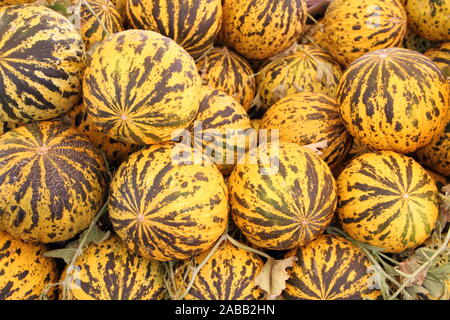 Les melons frais dans le marché Banque D'Images