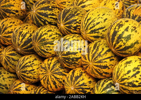 Les melons frais dans le marché Banque D'Images