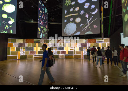 MILAN, ITALIE - 30 mai : l'installation à l'intérieur de zéro à l'Expo, le pavillon de l'exposition universelle sur le thème de la nourriture le 30 mai 2015 à Milan Banque D'Images