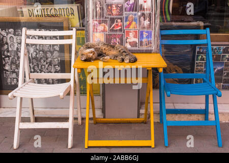 Istanbul, Turquie - 7 septembre 2019. L'un des nombreux chats Istanbuls street dans le quartier de Fener Balat rend lui-même à la maison sur une table à l'extérieur d'un sh Banque D'Images