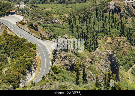 Vue aérienne de Los Roques - lieu de culte à proximité du parc national de Garajonay à La Gomera. De pins avec des traces d'un grand feu. Les bosquets de lauriers une relique Banque D'Images