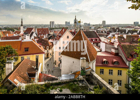 Vue sur les rues médiévales et les toits de la vieille ville de Tallinn, Estonie du haut de la ville sur la colline de Toompea matin ciel couvert à la fin de l'été. Banque D'Images