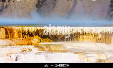 La vapeur qui sort de la couleur bleu de l'eau chaude riche en minéraux des ressorts dans la région de Mammoth Springs Parc National de Yellowstone, Wyoming, USA Banque D'Images