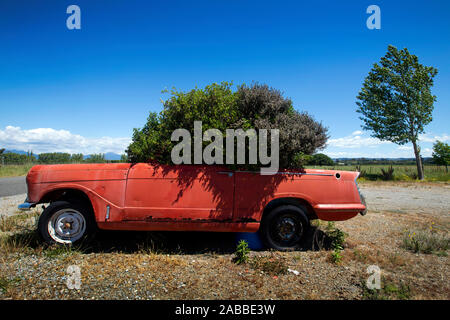 Voiture avec Bush de plus en plus elle, Nelson, Nouvelle-Zélande Banque D'Images