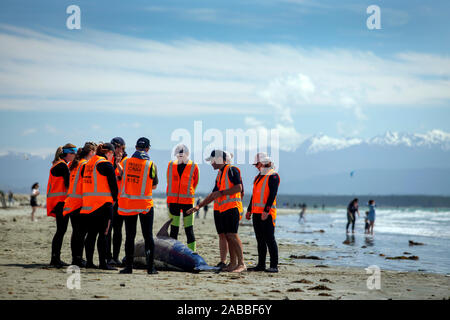 Cours de formation Project Jonah, Nelson, Nouvelle-Zélande Banque D'Images