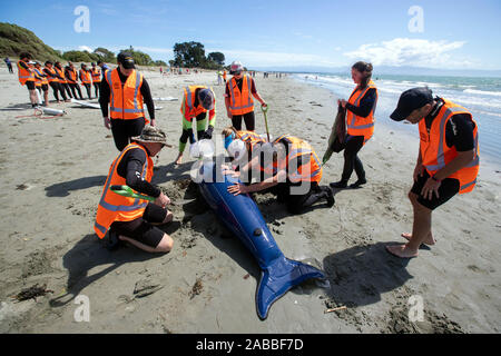 Cours de formation Project Jonah, Nelson, Nouvelle-Zélande Banque D'Images