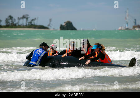 Cours de formation Project Jonah, Nelson, Nouvelle-Zélande Banque D'Images