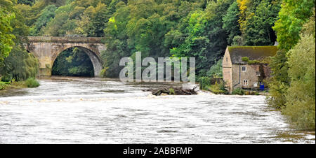 La ville de Durham Bridge & Prebends Rivière paysage courant rapide de l'usure au cours de période de risque élevé d'inondations estivales woodland & riverside house England UK Banque D'Images