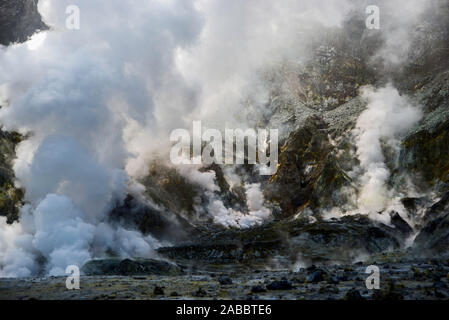 Les évents de vapeur et de fumeurs de l'acide sulfurique, volcan de l'île Blanche, Nouvelle-Zélande Banque D'Images