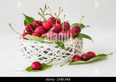 Cerises et feuilles vertes dans un panier blanc sur fond blanc Banque D'Images