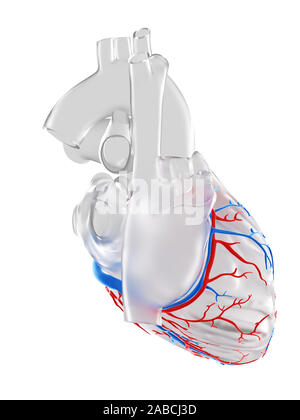 Médicalement en rendu 3d illustration de la précision des vaisseaux coronaires Banque D'Images