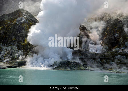 Fumeurs fumerolles au bord du lac de cratère du volcan de l'Île, Blanc, Nouvelle-Zélande Banque D'Images