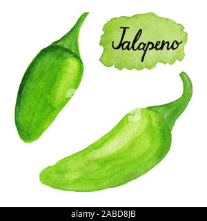 Ensemble de piments jalapeno dessiné à la main verte. Illustration à l'aquarelle de poivre isolé sur fond blanc. Texte jalapeno lettrage peint Banque D'Images