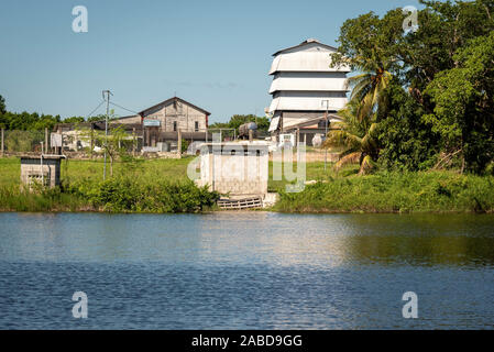 Orange County, Belize - 16 novembre, 2019. Fabrique de Rhum situé sur New River, sur la route de Lamanai ruines dans le nord de Belize. Banque D'Images