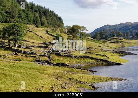 Bâtiments agricoles abandonnés, Riggindale, Haweswater, Cumbria Banque D'Images