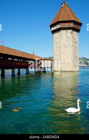 Célèbre Pont de la chapelle voir dans la vieille ville de Lucerne en Suisse. Banque D'Images