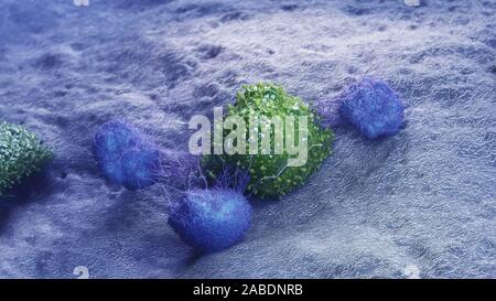 Rendu 3D précis médicalement illustration d'une cellule de cancer d'être attaqués par les leucocytes Banque D'Images