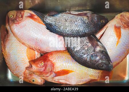 Close up de poissons frais regroupés sur l'étal du marché. Banque D'Images