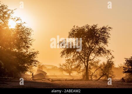 Lever du soleil en Namibie, Afrique Banque D'Images