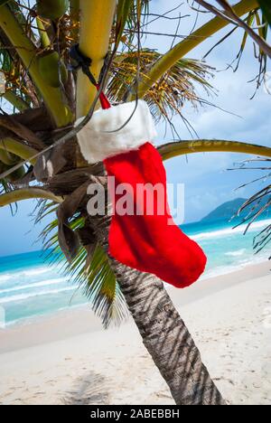 Bas de Noël rouge vif accroché sur palmier sur la plage de couleurs tropicales Banque D'Images