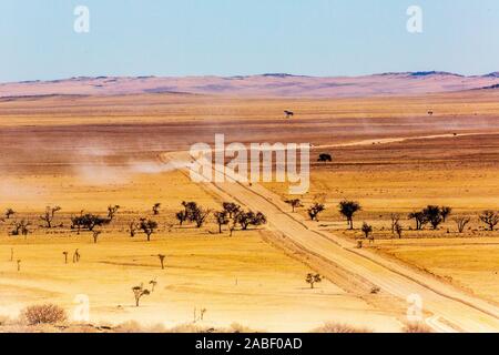 Paysage de la Namibie, l'Afrique Banque D'Images