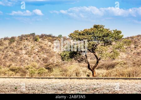 Paysage de la Namibie, l'Afrique Banque D'Images