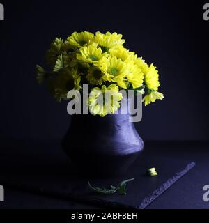 Fleurs chrysanthème jaune isolé sur fond sombre Banque D'Images