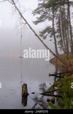 Automne fond d'une épaisse couche de brume sur un lac tranquille avec souche d'arbre immergé et branches surplombant reflète dans l'eau à la recherche le long de la sho Banque D'Images
