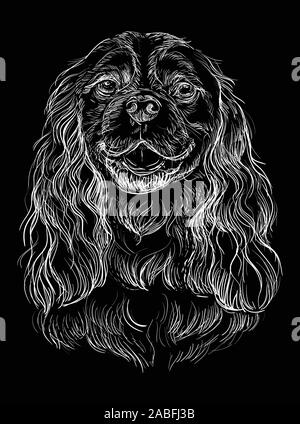 Cavalier King Charles Spaniel vector dessin illustration en couleur blanc isolé sur fond noir Illustration de Vecteur