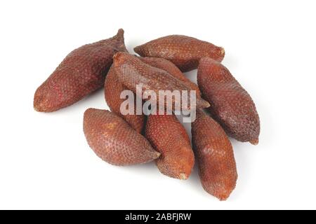 Salak Salacca zalacca, Salakpalme (, Salacca edulis), Frucht, Java Sumatra ( : und. Serpent | Palm, Palm, sala (salak Salacca zalacca éducatifs, Salacca Banque D'Images