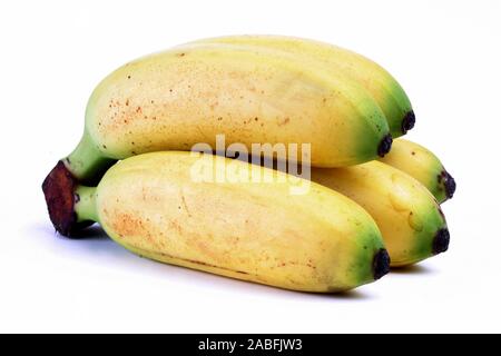 Minibanane (Musa Paradisiaca), Freisteller. Banane (Musa paradisiaca |), coupé. | BLWS015982.jpg [ (c) blickwinkel/fotototo, Tél.  +49 (0)2302-915 Banque D'Images