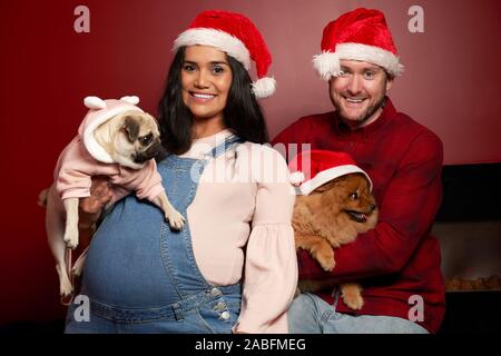 Heureux l'homme et la femme à santa flics avec pug et spitz sur fond bordeaux vide Banque D'Images