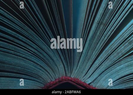 A proximité de belles pages de livre dans la couleur de lumière sur un fond de nuit. Macro photographie vue. Banque D'Images