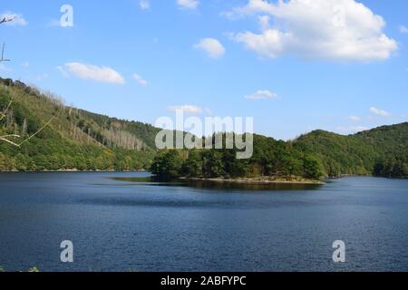 Rurtalsperren système de réservoir d'Obersee, Nationalpark Eifel Banque D'Images