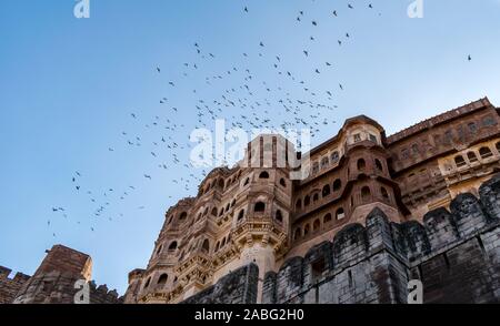 Oiseaux volant au-dessus du fort Mehrangarh, Jodhpur, Rajasthan, Inde Banque D'Images