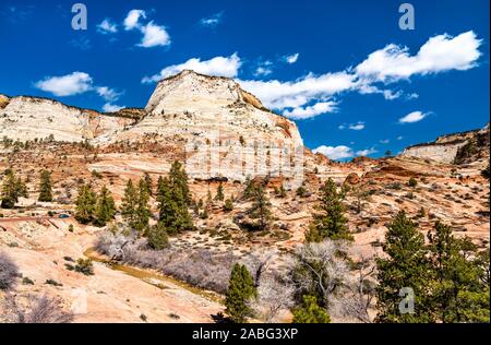 Paysage du Parc National Zion le long de la Pine Creek Banque D'Images