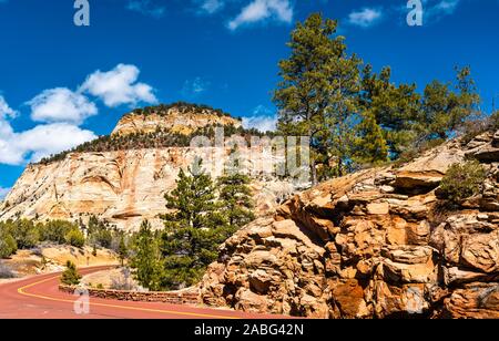 Paysage du Parc National Zion le long de la Pine Creek Banque D'Images