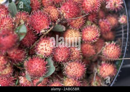 Avec des paniers de fruits tropicaux exotiques sur le marché asiatique ramboutans Banque D'Images