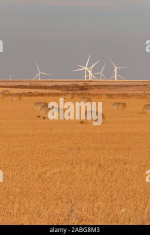 Fleming, Colorado - bottes de foin et les éoliennes en fin d'après-midi dans le nord-est du Colorado. Banque D'Images