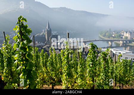 Tôt le matin voir de Bernkastel-Kues village de vignoble sur Moselle dans la vallée de la Moselle en Allemagne Banque D'Images