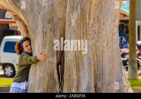Belle Jeune femme aux cheveux rouge avec des cheveux courts bouclés Embrasser un arbre Drago sur la Promenade à Las Americas. Le 11 avril 2019. Santa Cruz de Te Banque D'Images