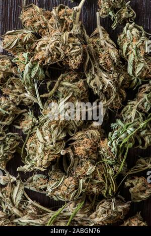 Close-up of plant de cannabis séché Banque D'Images