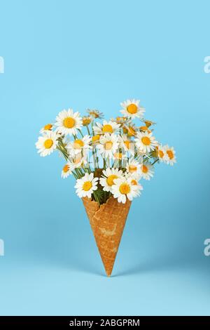 Close up bouquet de fleurs fraîches de camomille blanc daisy dans ice cream cone sur fond bleu, low angle view Banque D'Images